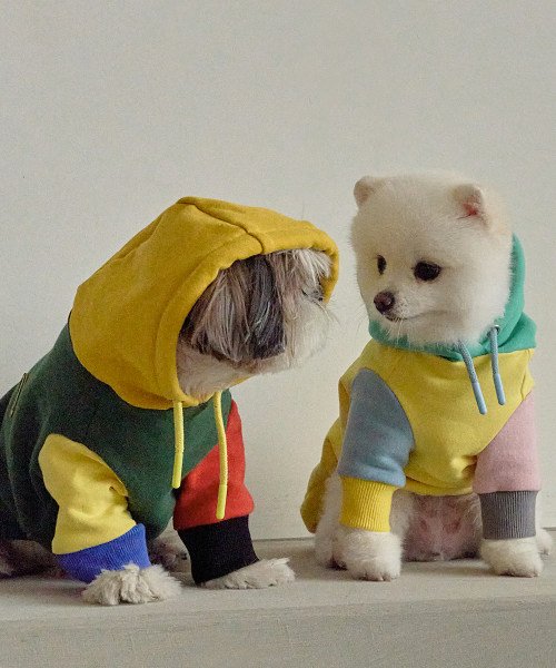 Colorful Fleece Hoodie for Dogs