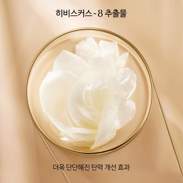 Estee Lauder PMY001