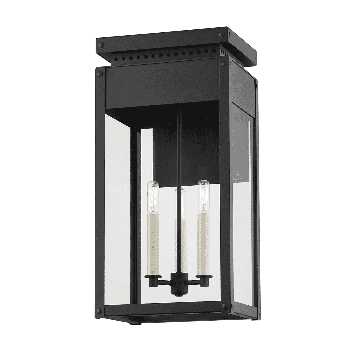 Textured Black Three Light Outdoor Wall Sconce from the Braydan Collection