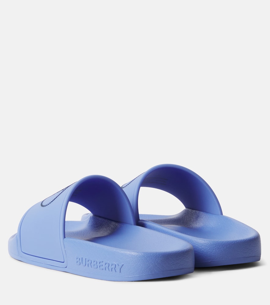 EKD slides