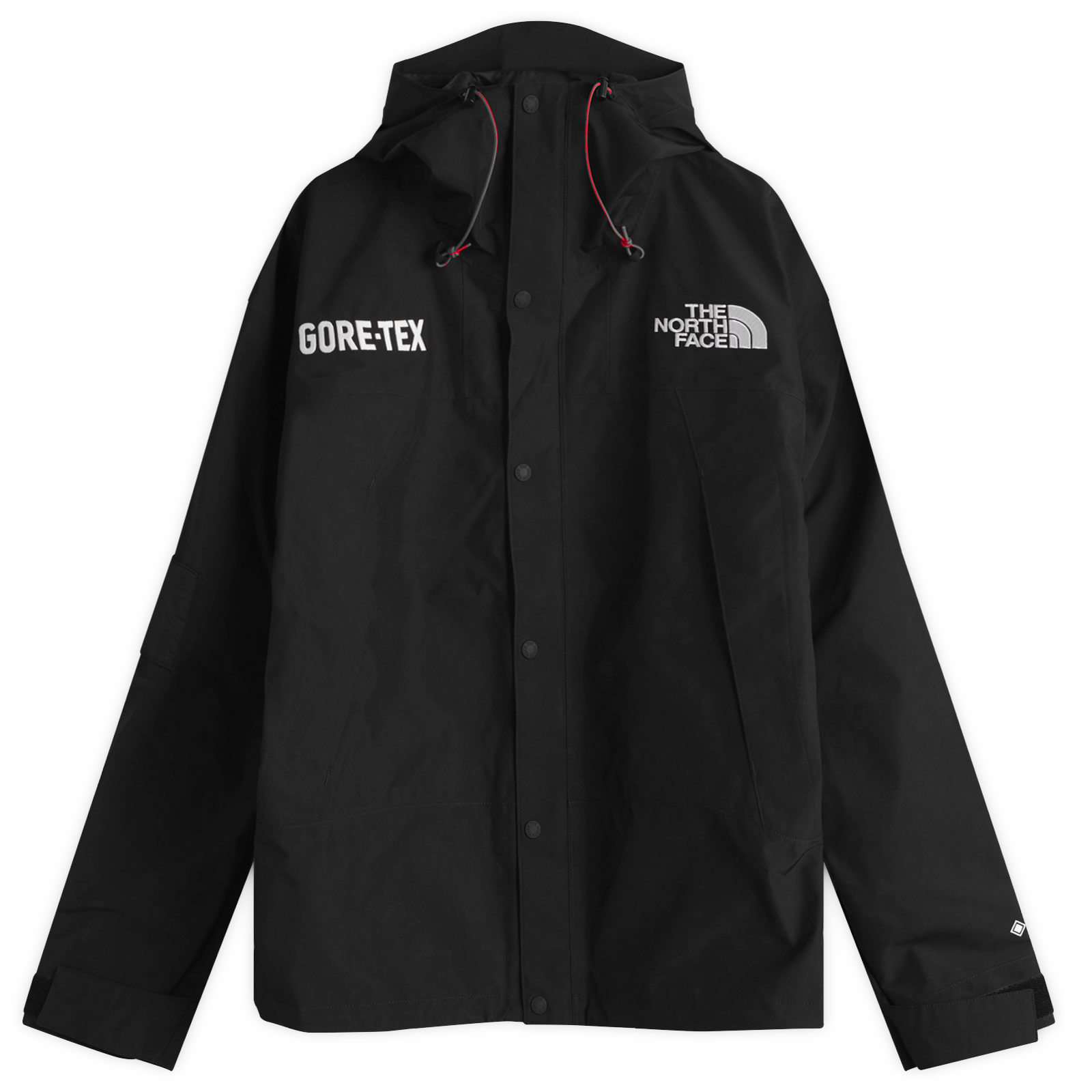 Men's Gore-Tex Mountain Jacket in Tnf Black