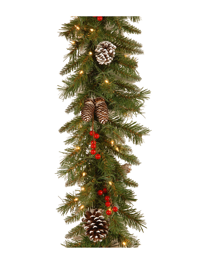 National Tree Company 9ft Frosted Berry Garland with 100 Clear Lights