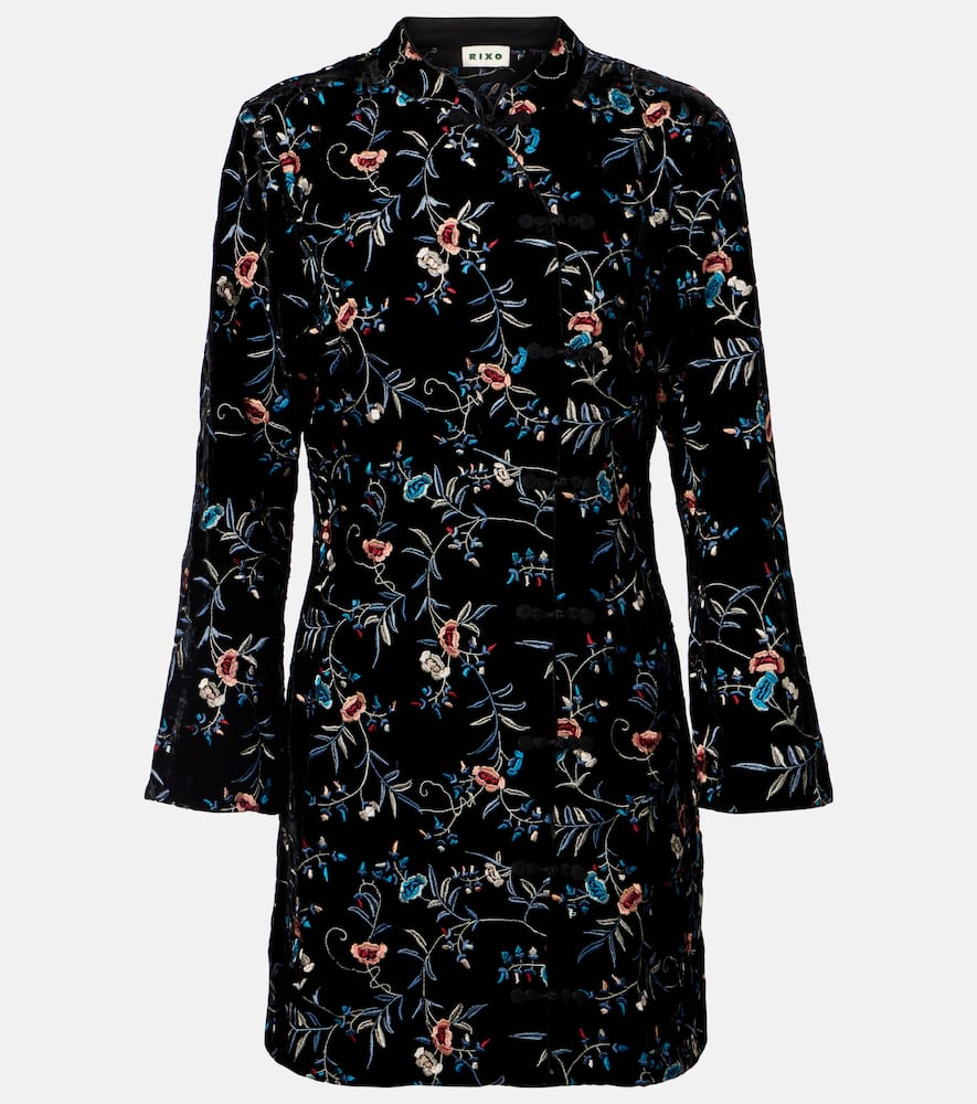 Delphina embroidered velvet minidress