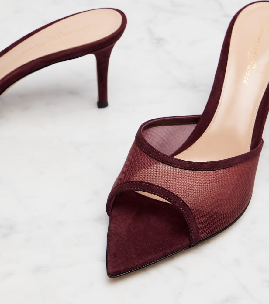 Gianvito Rossi Pointy 70 suede and organza mules