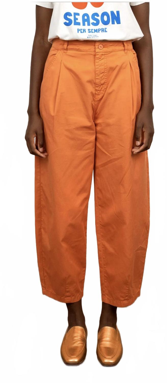 Pleated Trousers In Brown