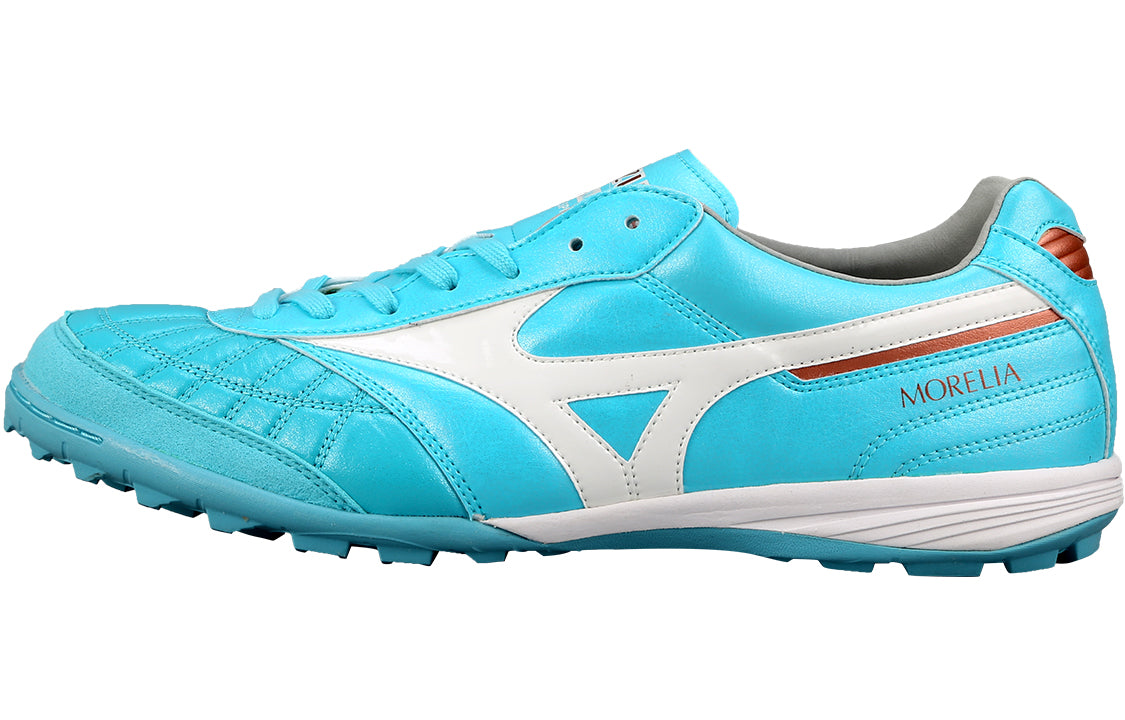 Morelia Sala Japan TF 'Blue White'