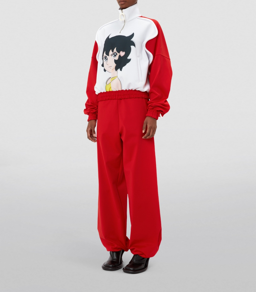 X Run Hany Half-Zip Sweatshirt