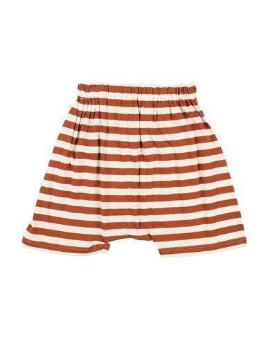 Kid Girl Shorts & Bermuda Shorts Brown Size 10 Cotton