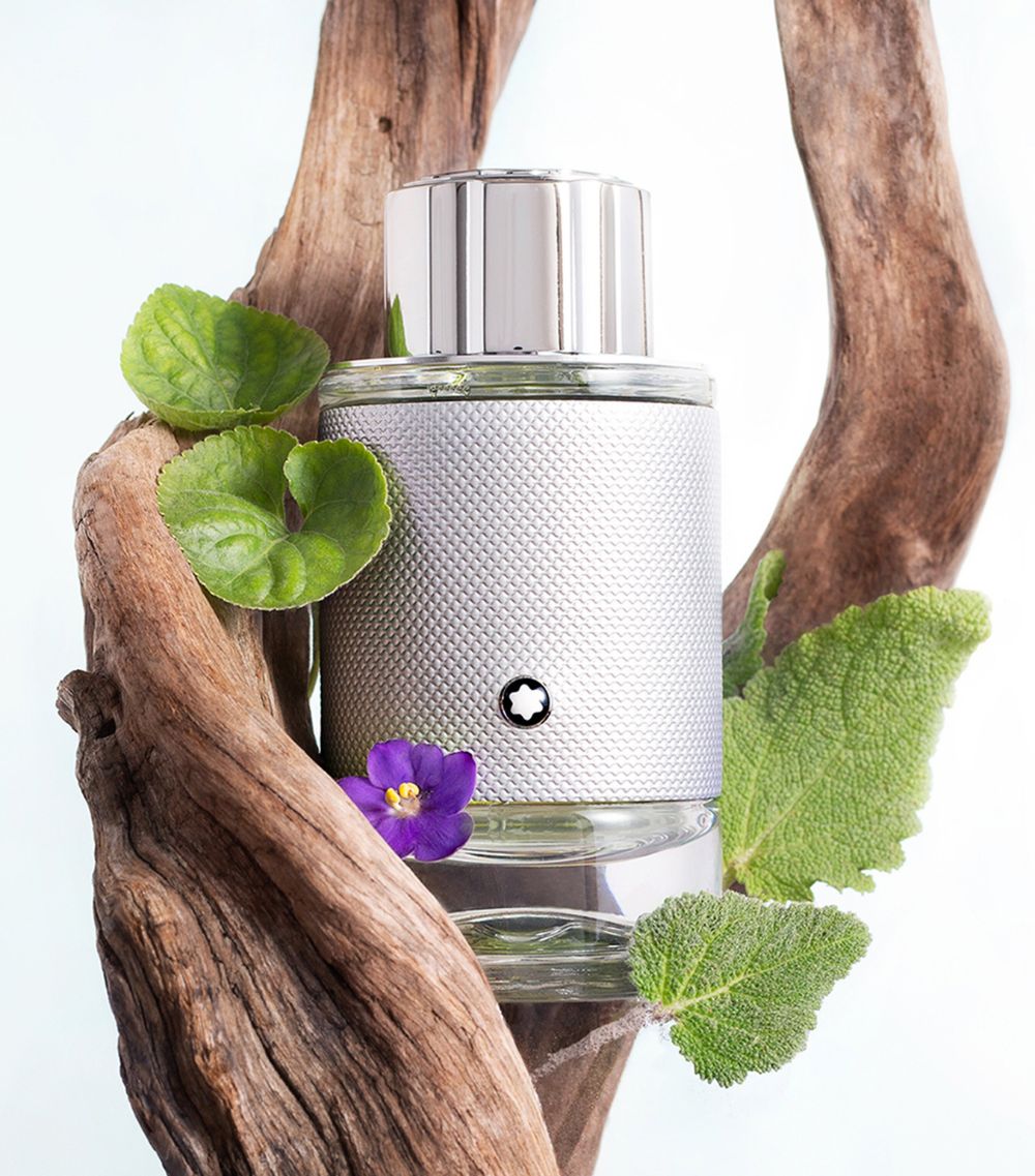 Explorer Platinum Gift Set