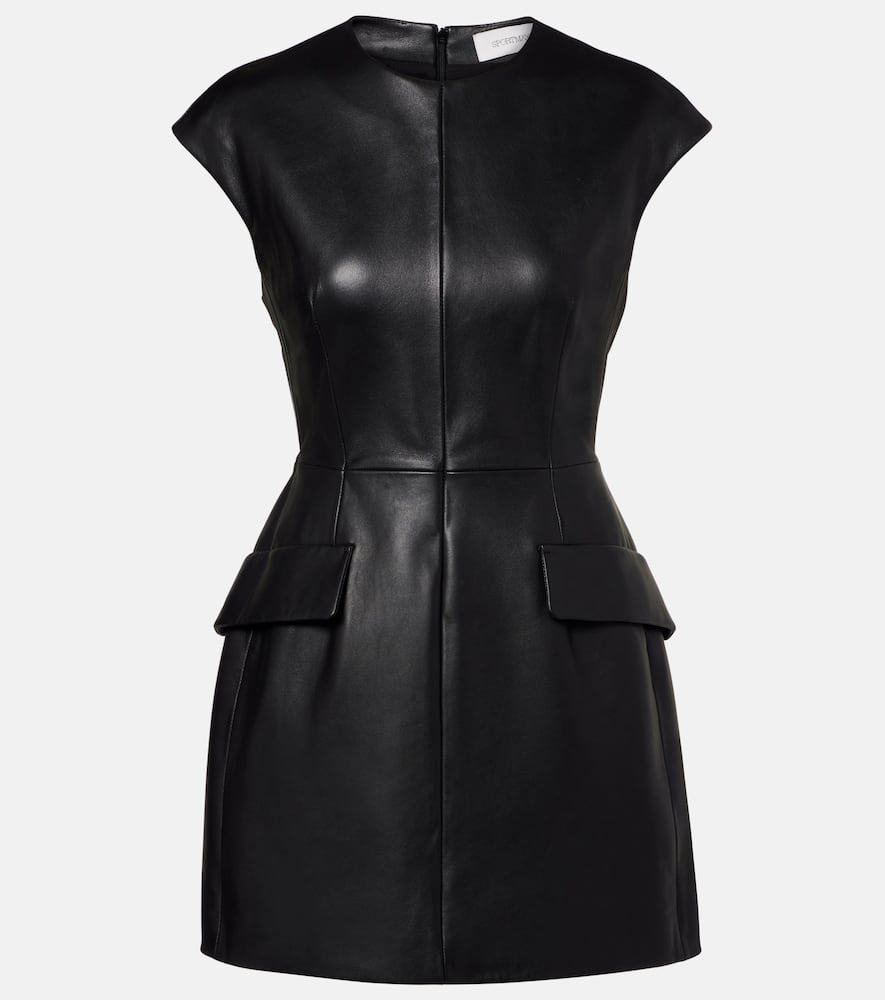 Terfrite leather minidress