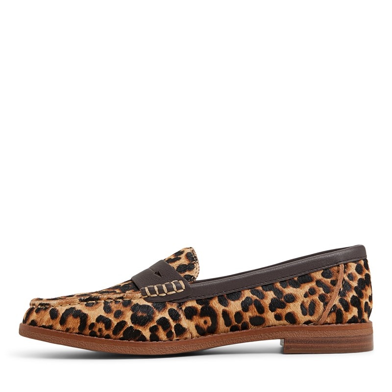 Women's Seaport Leather Penny Loafers (Brown Primary - Multi)