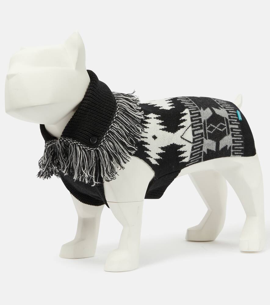 Alanui x Poldo Dog Couture Icon dog sweater
