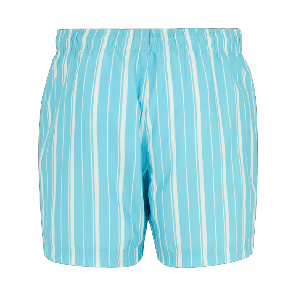Regatta Mens Loras Stripe Swim Shorts Nordic Blue/White - Light Blue - Sma