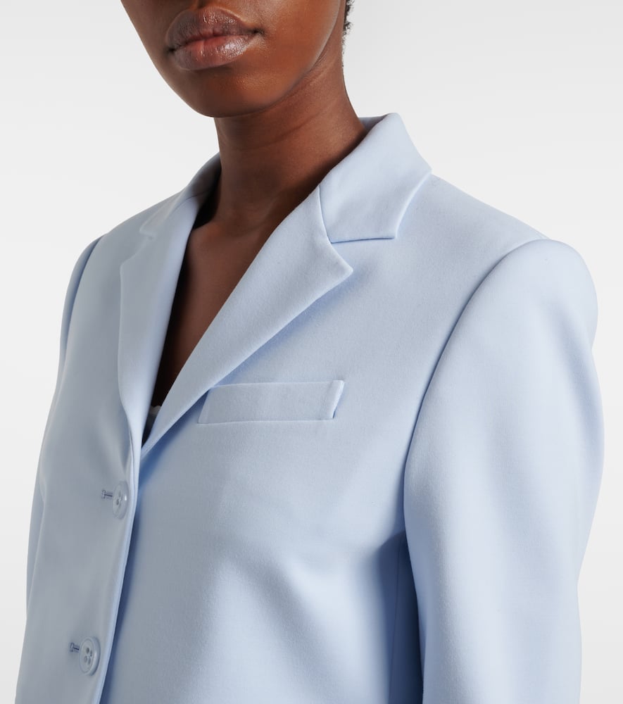 Emotional Essence cropped blazer