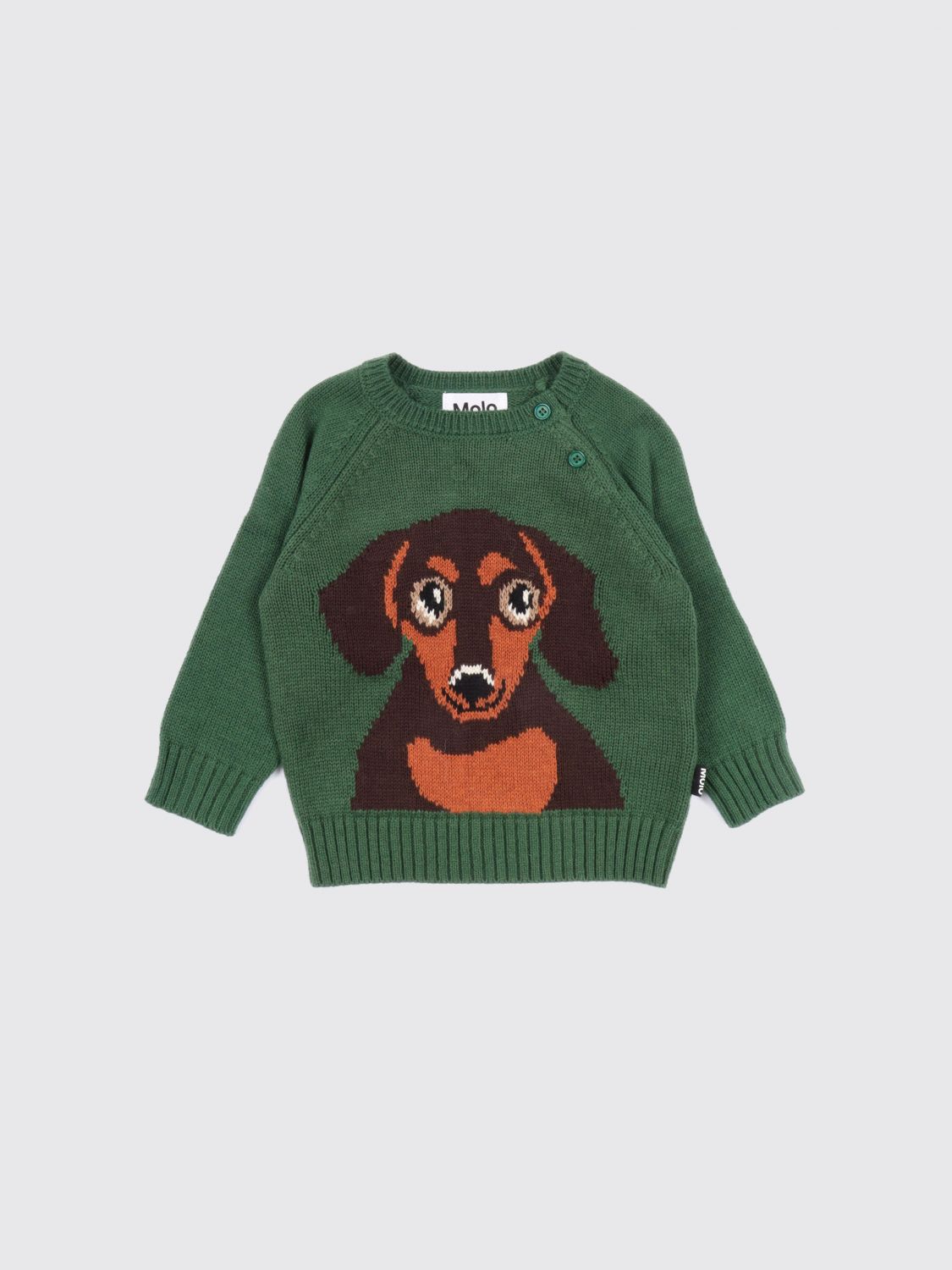 Sweater Kids color Green
