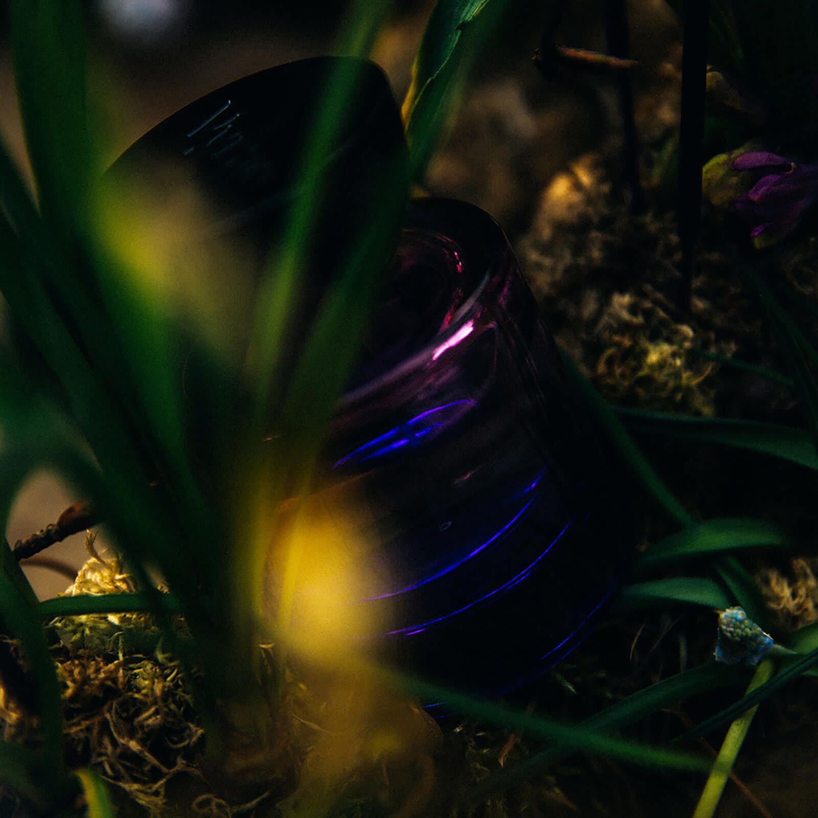 Vyrao Witchy Woo Eau De Parfum in Beauty: NA