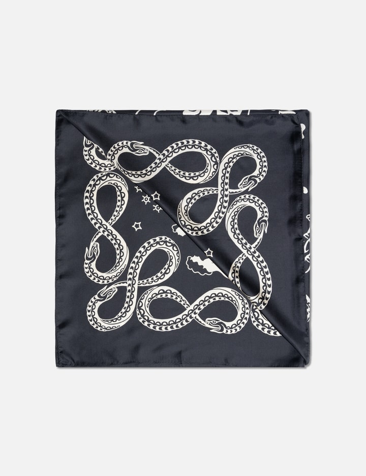 Silk Scarf