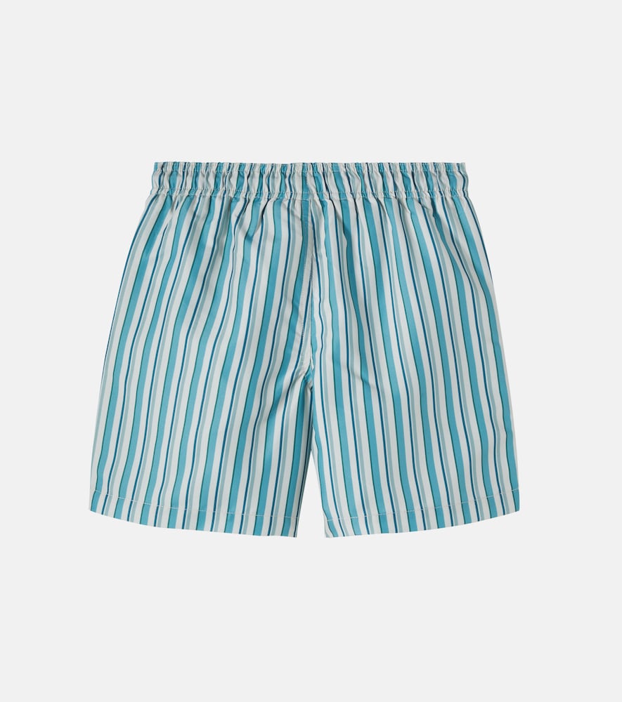 Hansi striped swim tunks