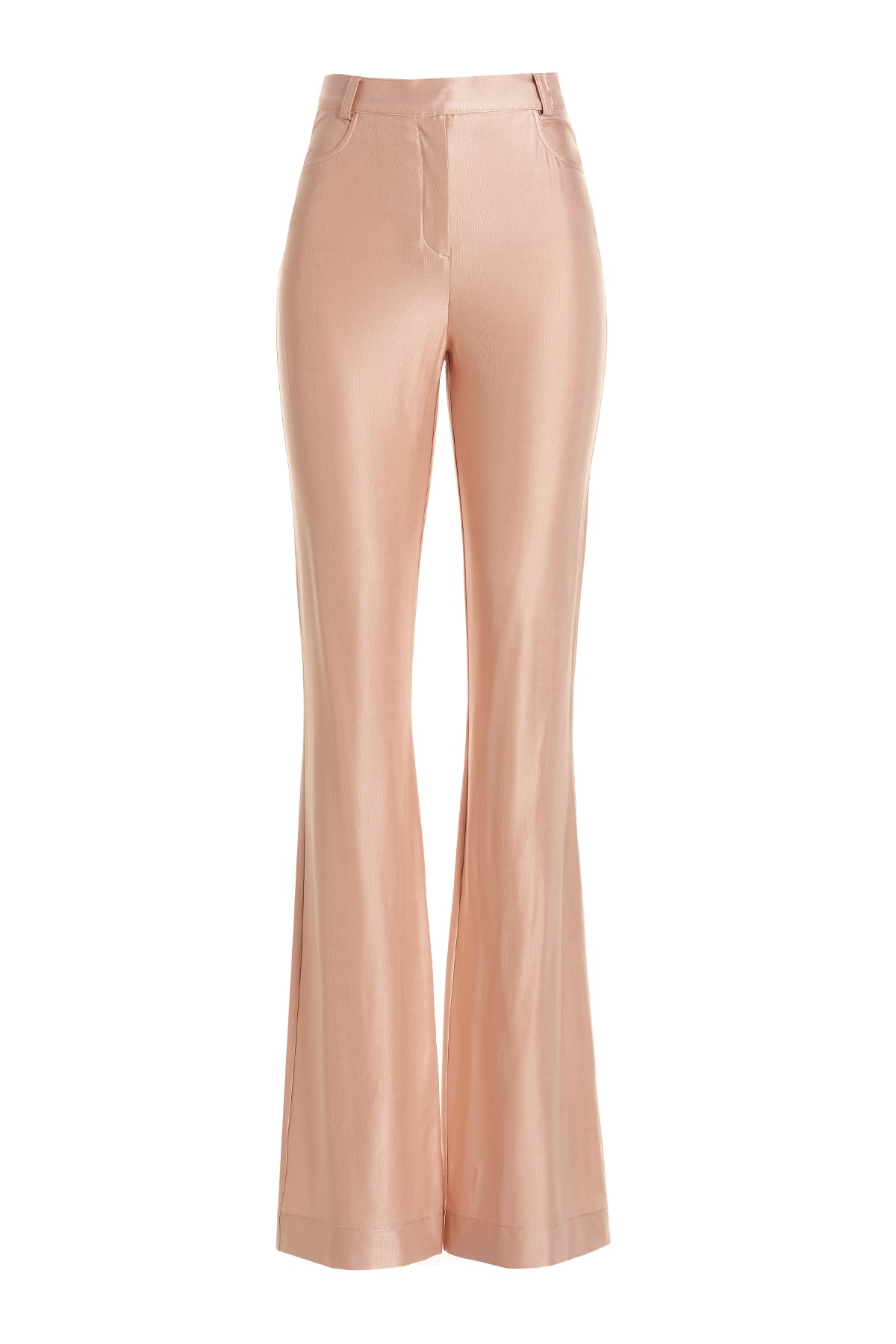 Shiny Stretch Pants