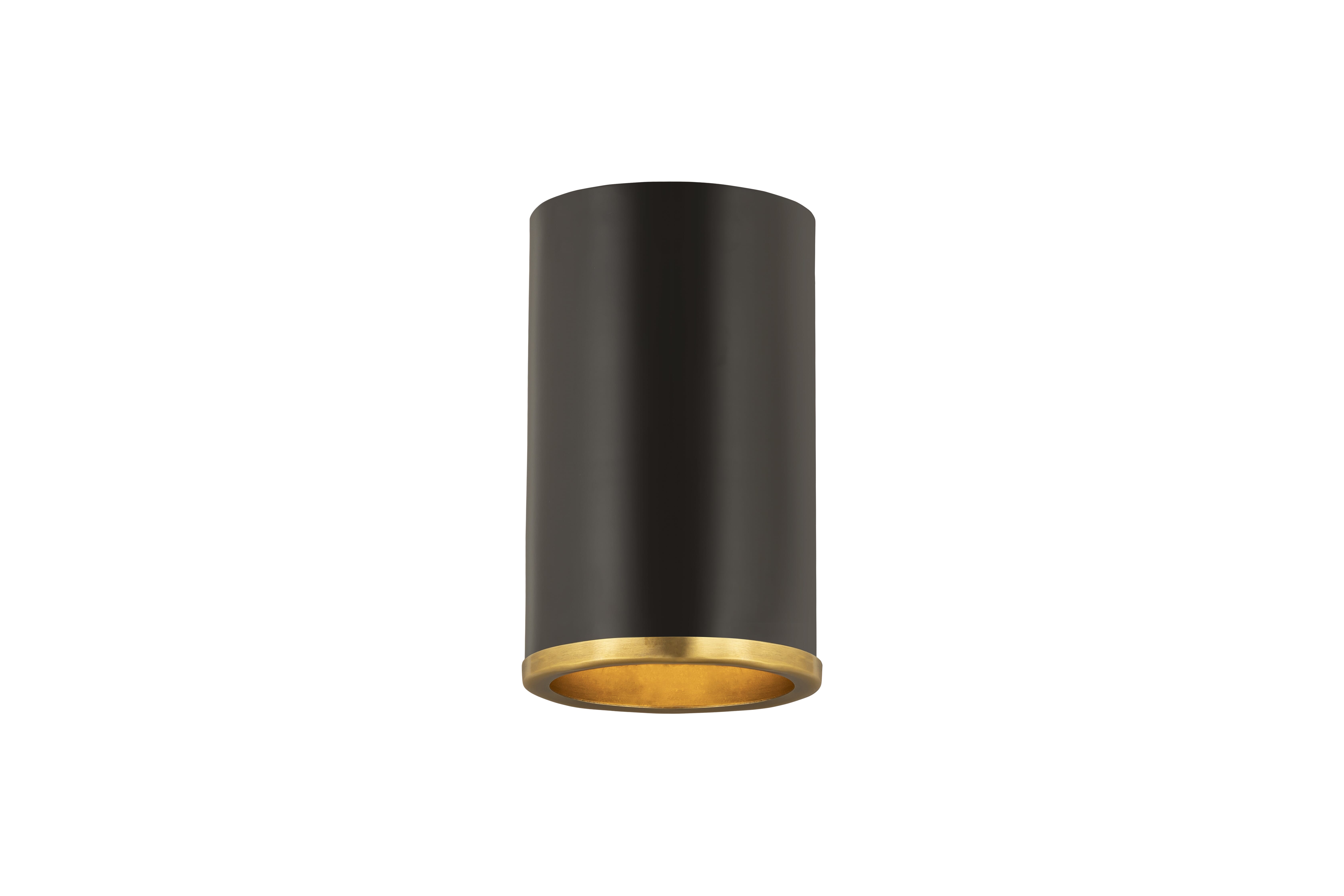 Arlo 1-Light Flush Mount Ceiling Light In Matte Black With Rubbed Bra