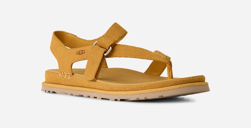 ® Women's GoldenGaze Toe Post Suede Sandals in Wheat Field