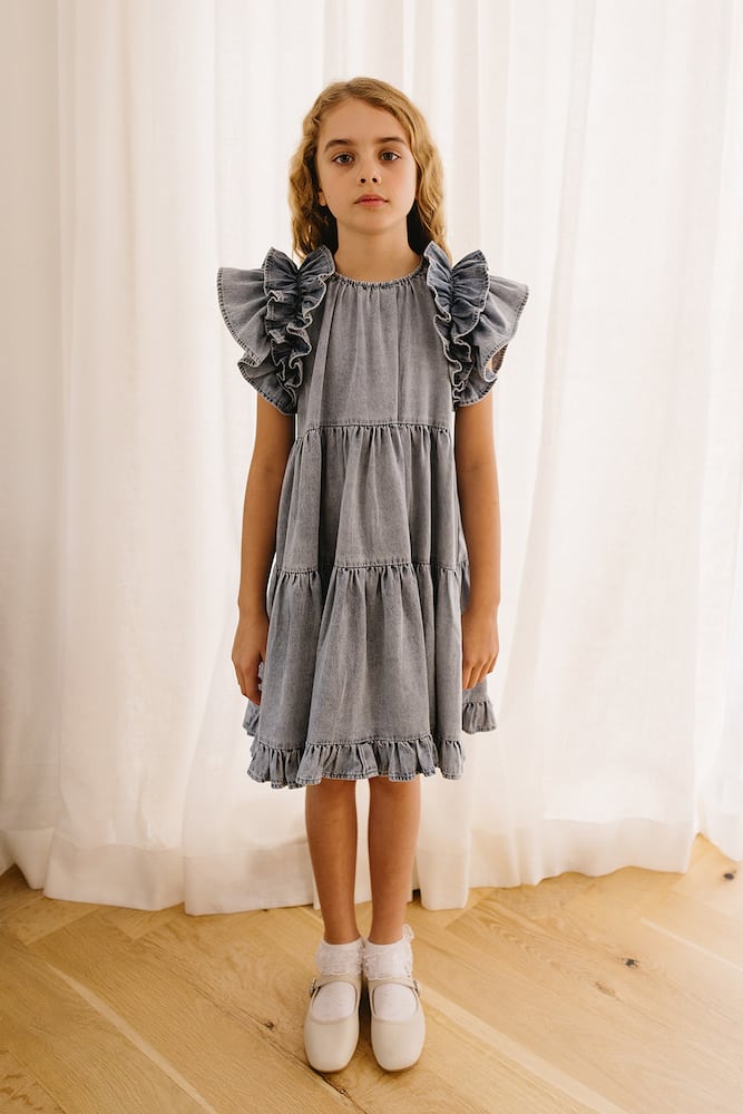 Petite Amalie Ruffled embroidered chambray dress