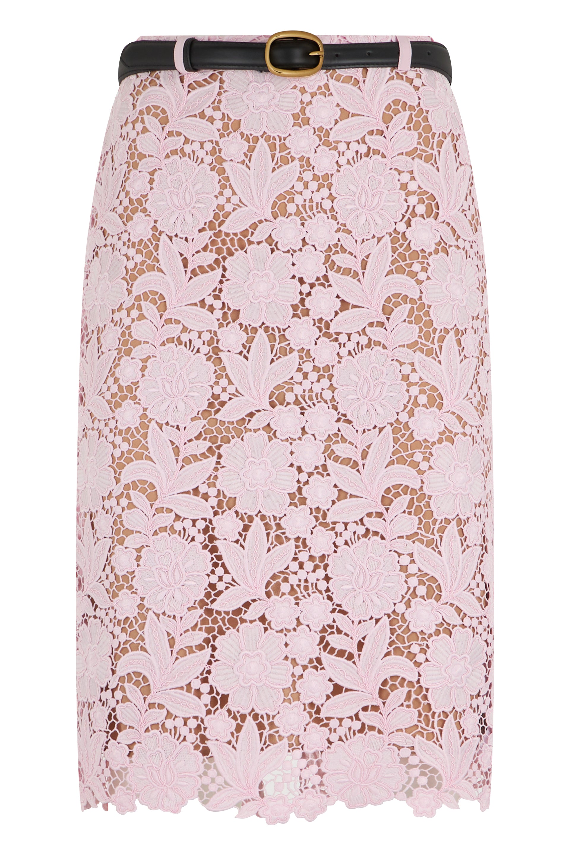 Floral Lace Midi Skirt with Fitted Silhouette and Contrast Waistband