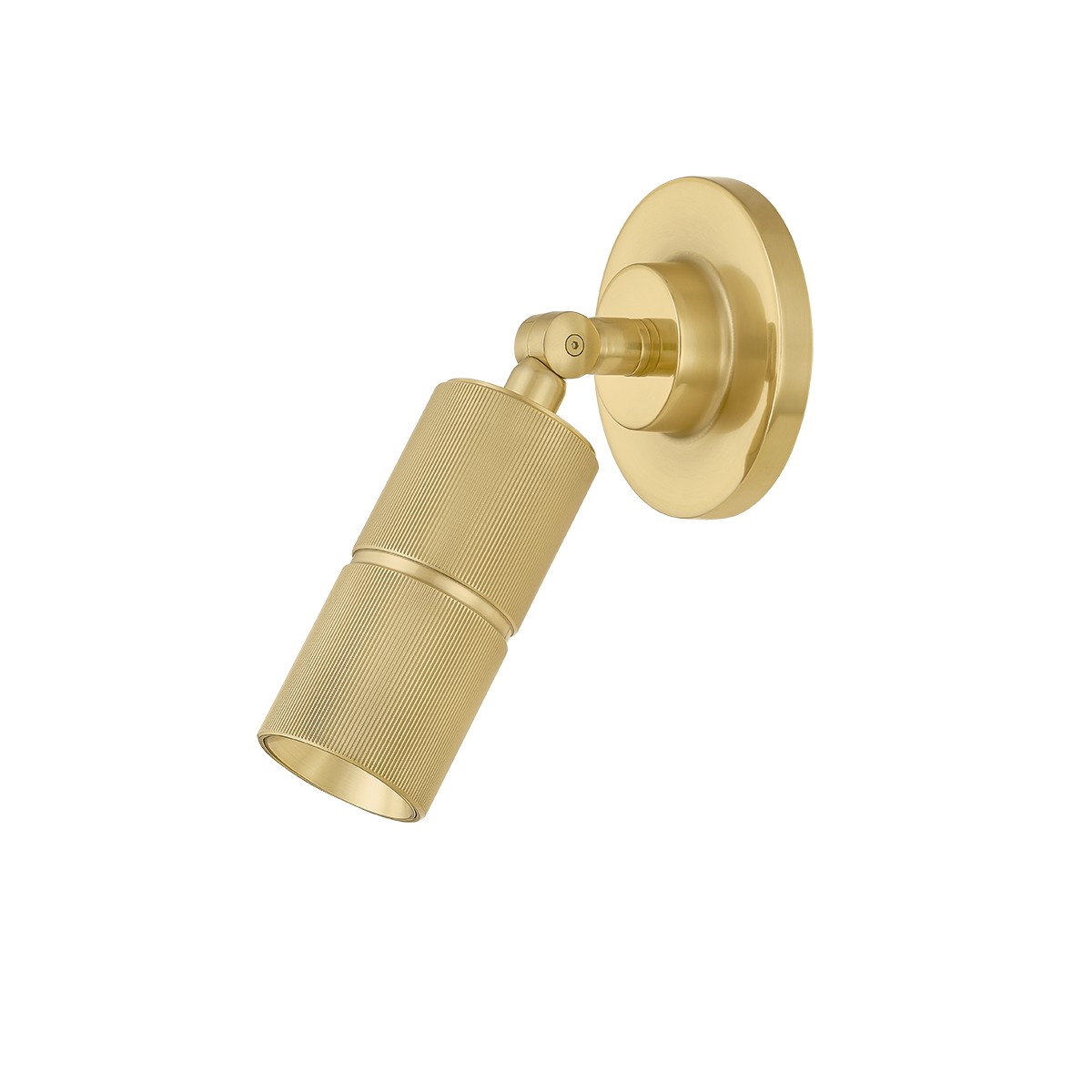 Aged Brass LED Wall Sconce from the Truett Collection