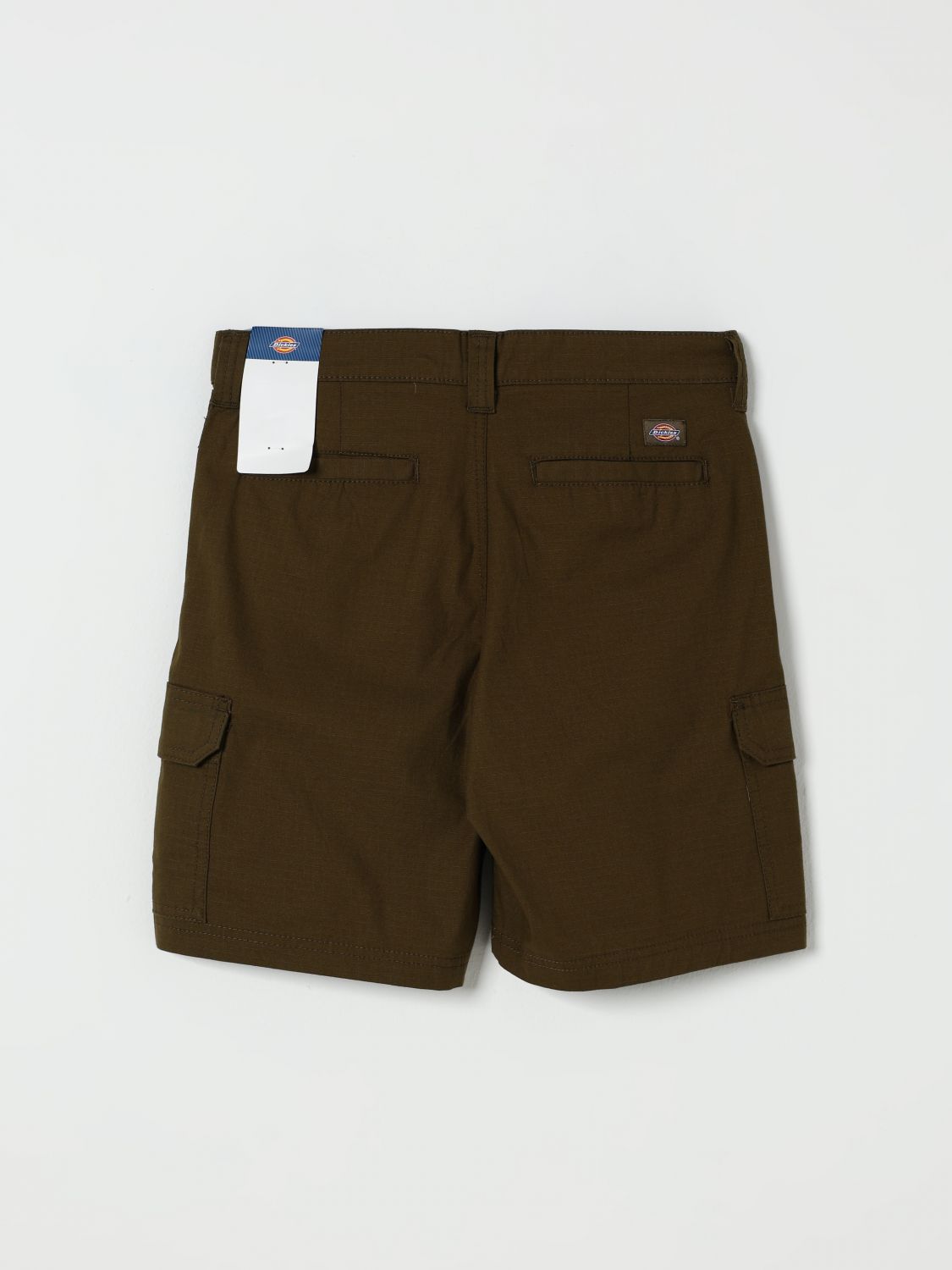 Underwear Kids color Green