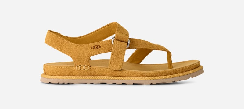 ® Women's GoldenGaze Toe Post Suede Sandals in Wheat Field