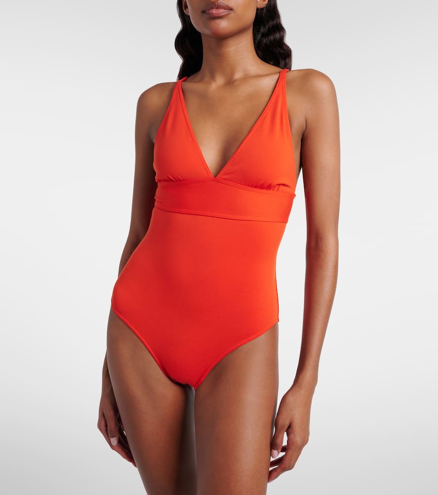 Larcin swimsuit