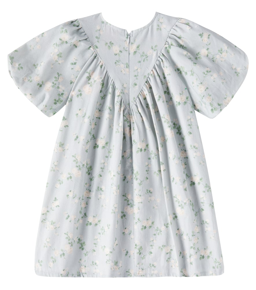 Petite Amalie Floral cotton chambray dress