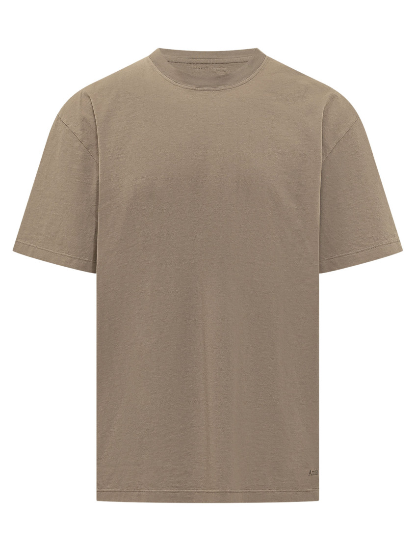 Brown Solid Crew Neck T-Shirt