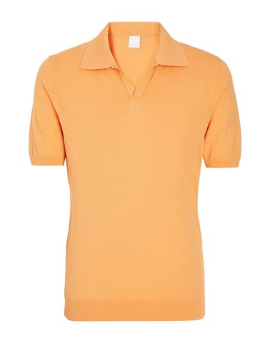 Organic Cotton Basic Crew