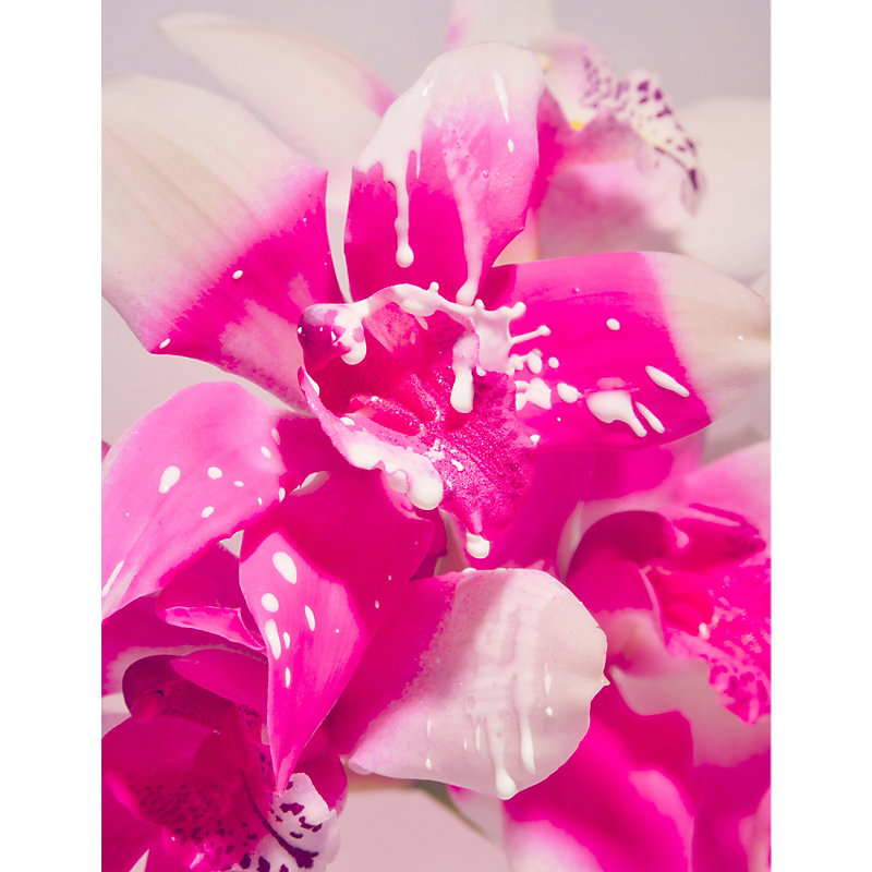 Not Your Baby eau de Parfum 50ml