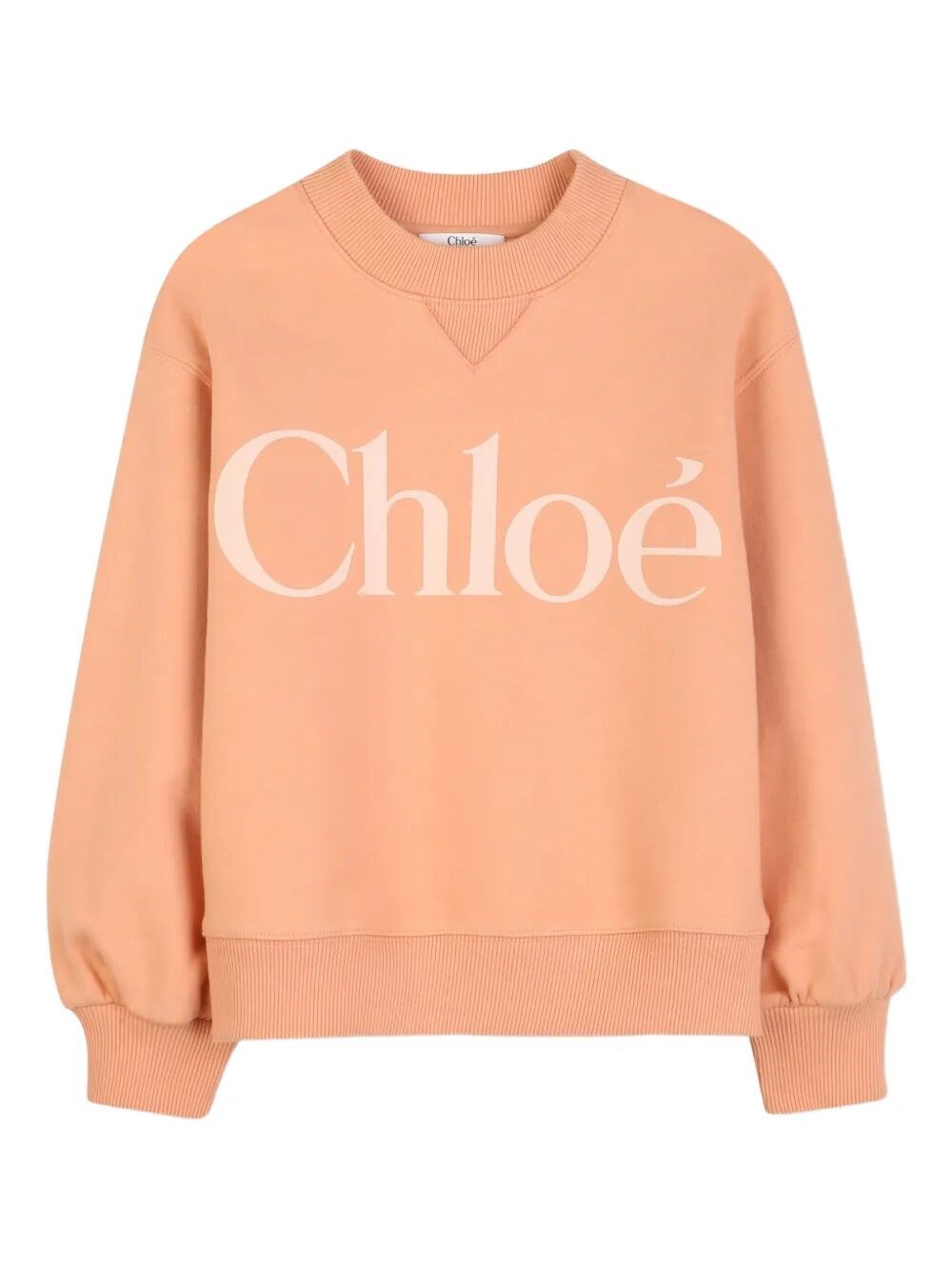 Logo-Print Round Neck Sweatshirt