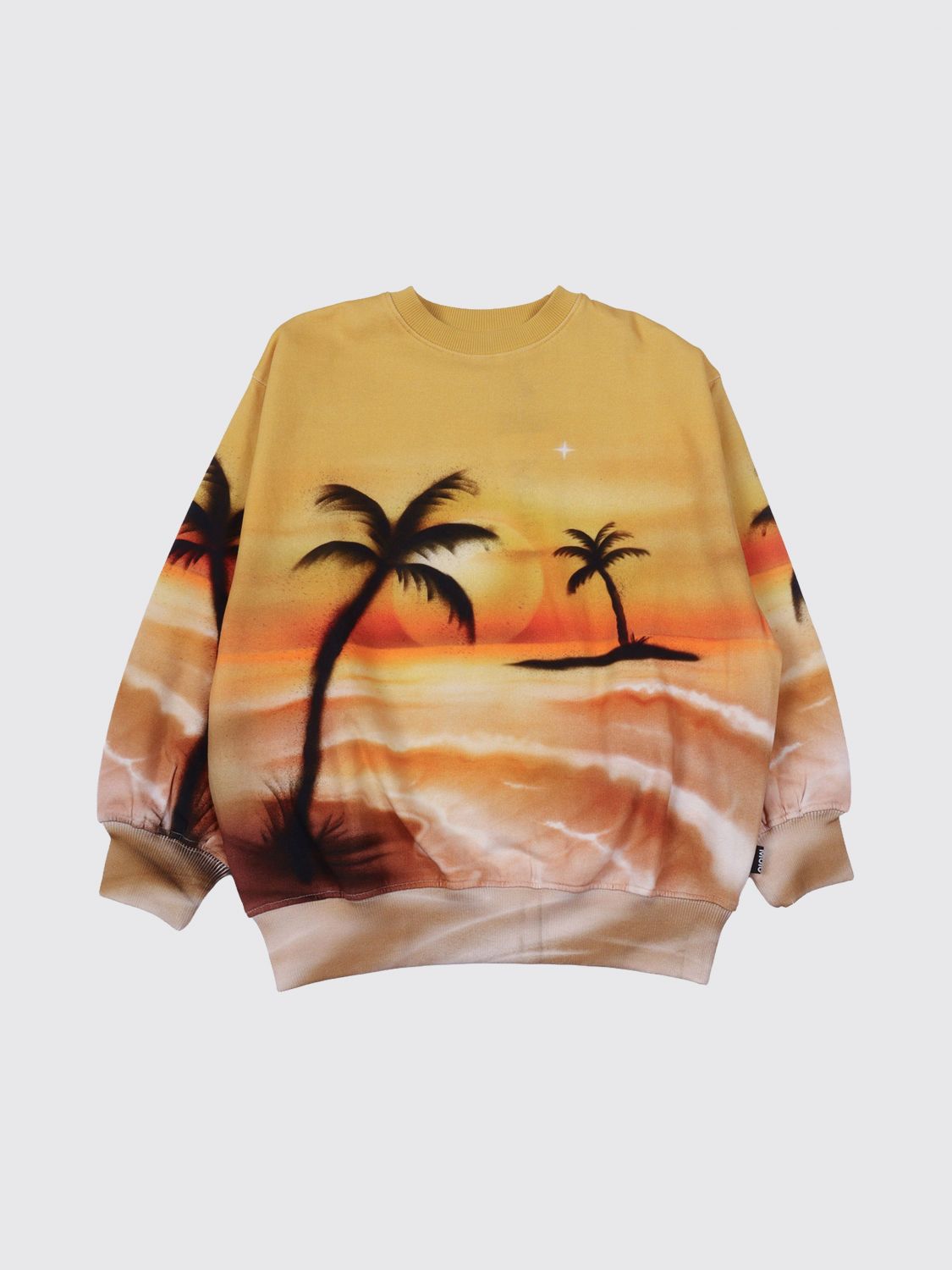 Sweatshirt Woman color Multicolor