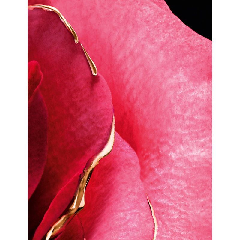 Rose Centifolia Extrait 1 Parfum Extract 50ml