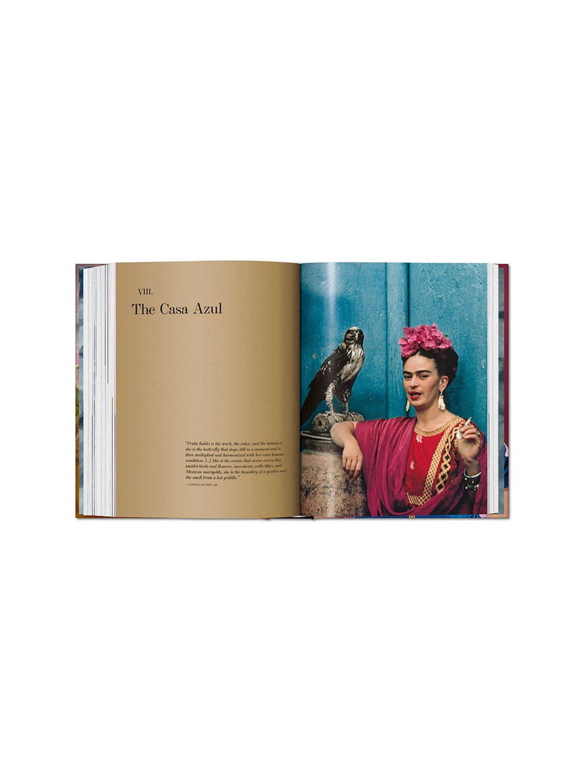 'Frida Kahlo. The Complete Paintings - Xl' Book
