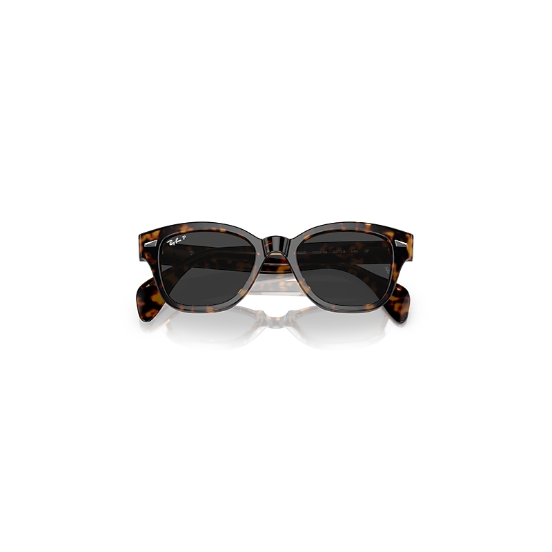 Ray-Ban Rb0880s Reloaded Sunglasses Havana On Transparent Brown Frame Black Lenses Polarized