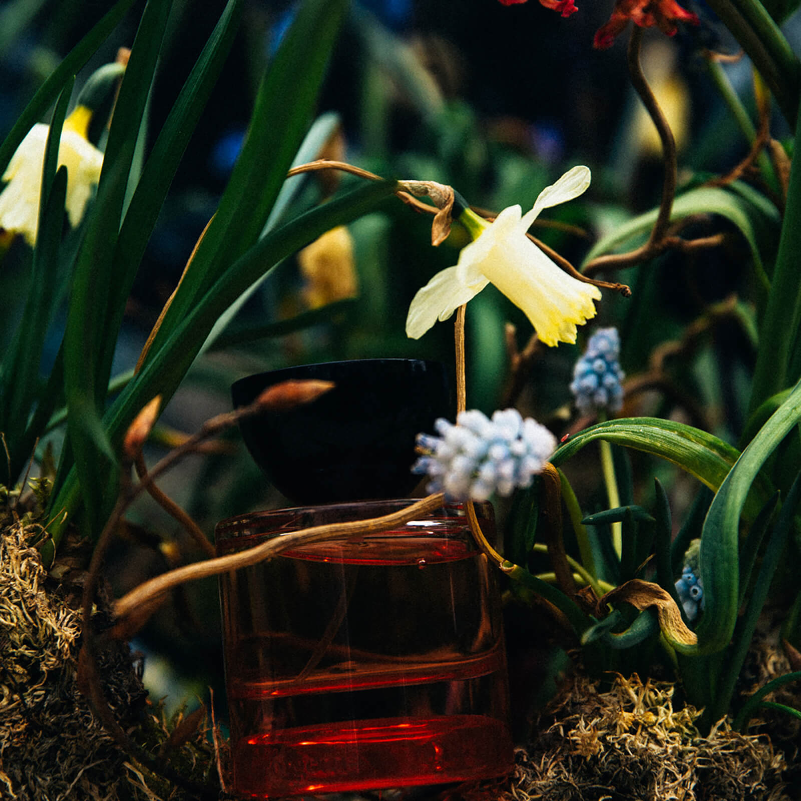 Vyrao Georgette Eau De Parfum in Beauty: NA