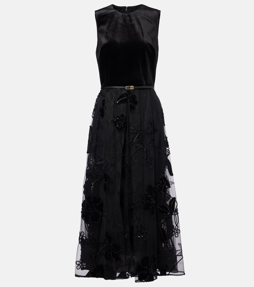 Embroidered tulle and velvet midi dress