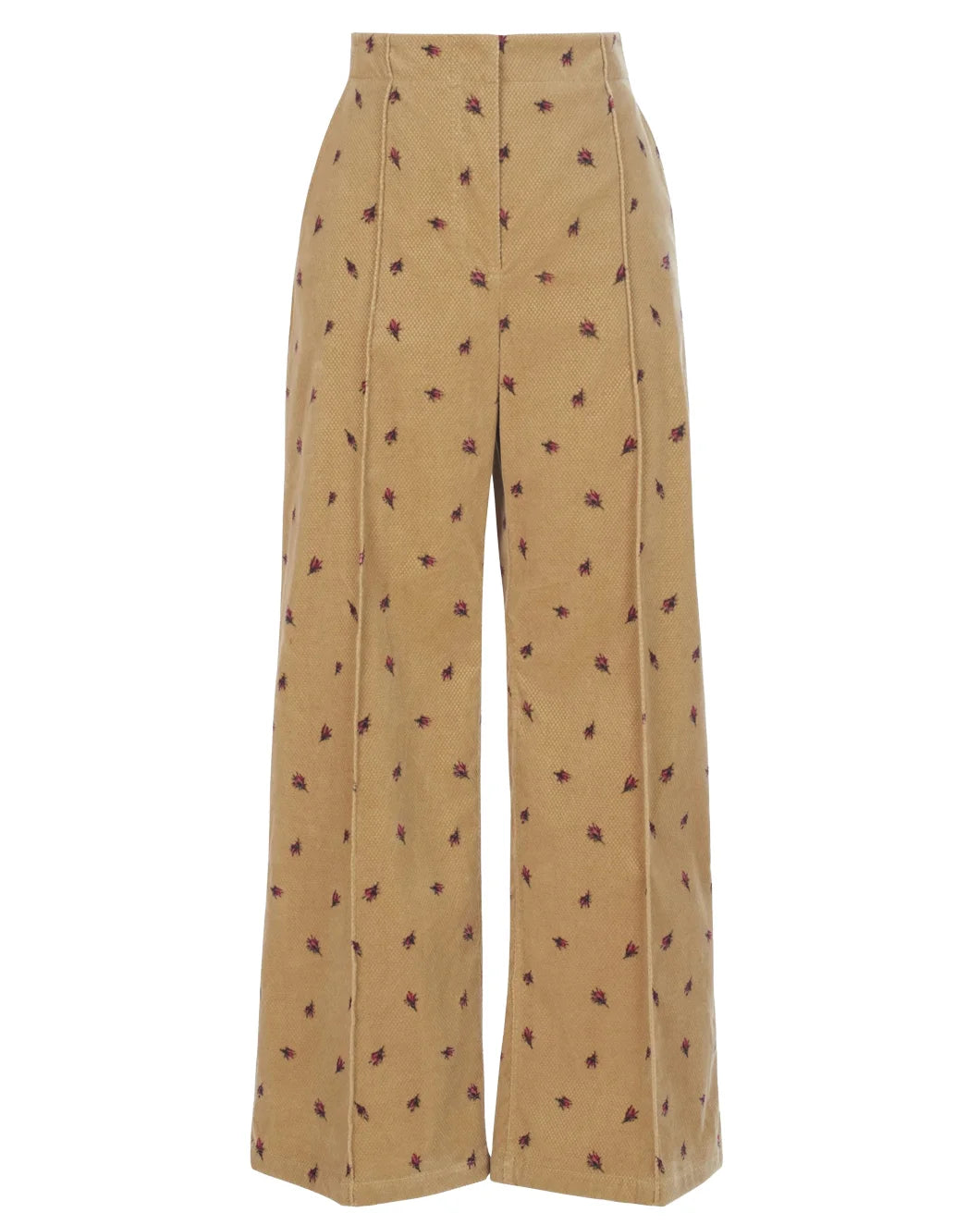 Barros Pant