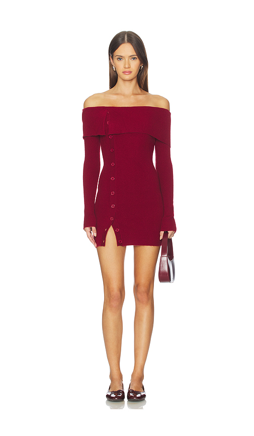 Lovers and Friends Lexi Mini Dress in Brown. - L also in XS, S, M