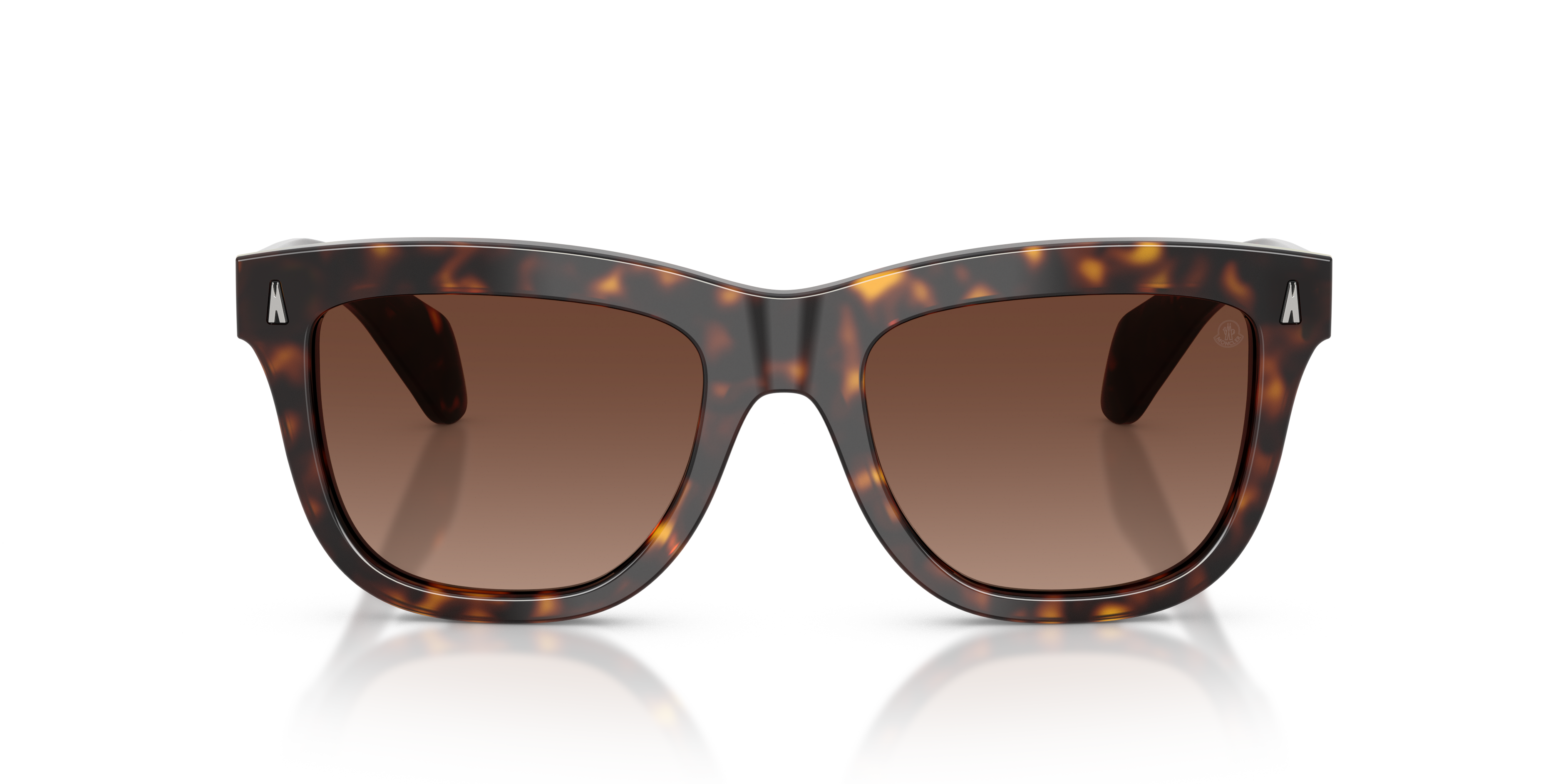 Moncler Vrouw Moncler ME6023 BRONZZ 3002T5 Zonnebrillen Acetaat Schildpad Bruin Kussen Gepolariseerd