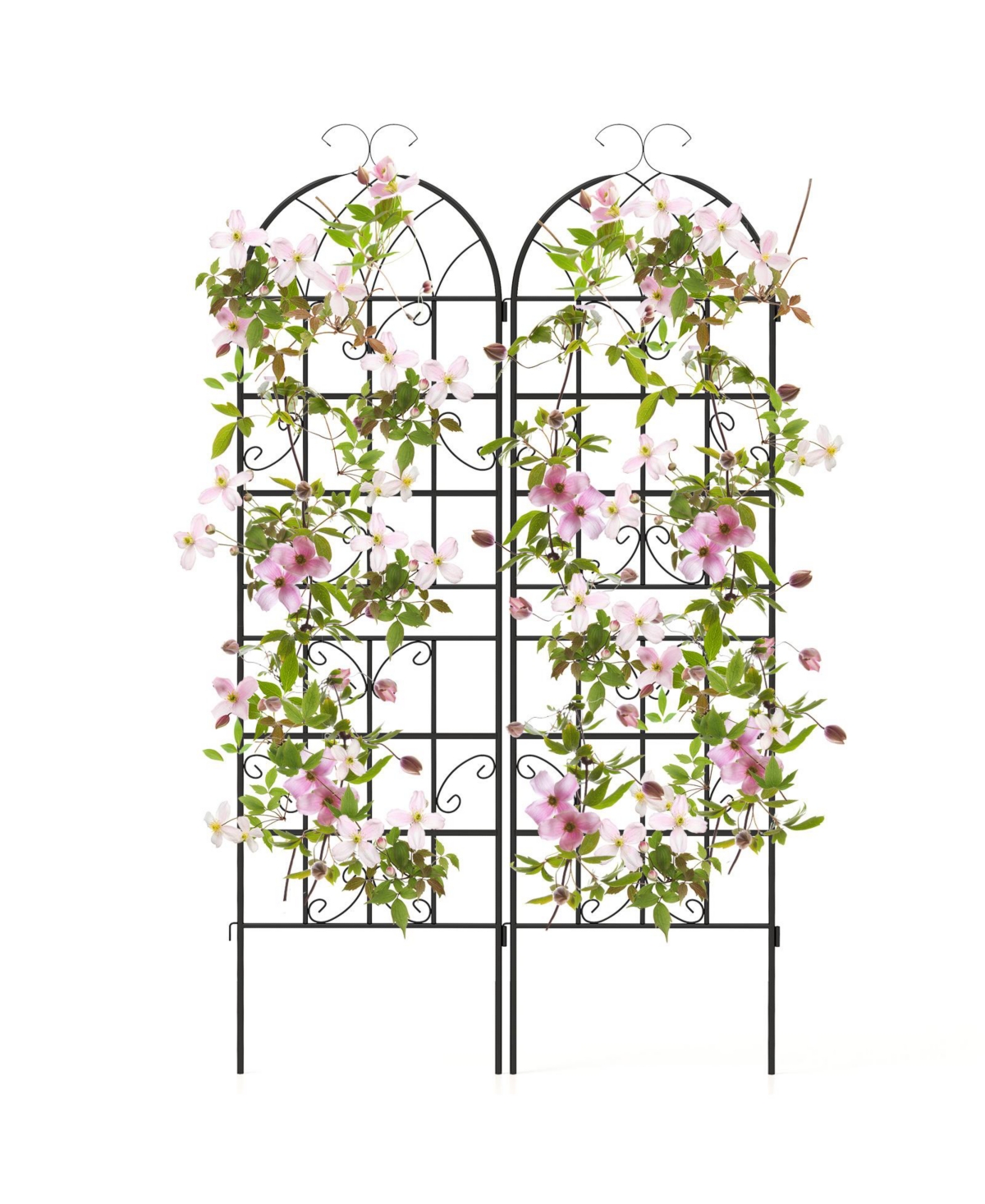2 Pack 71 x 20 Inch Metal Garden Trellis for Climbing Plants - Black