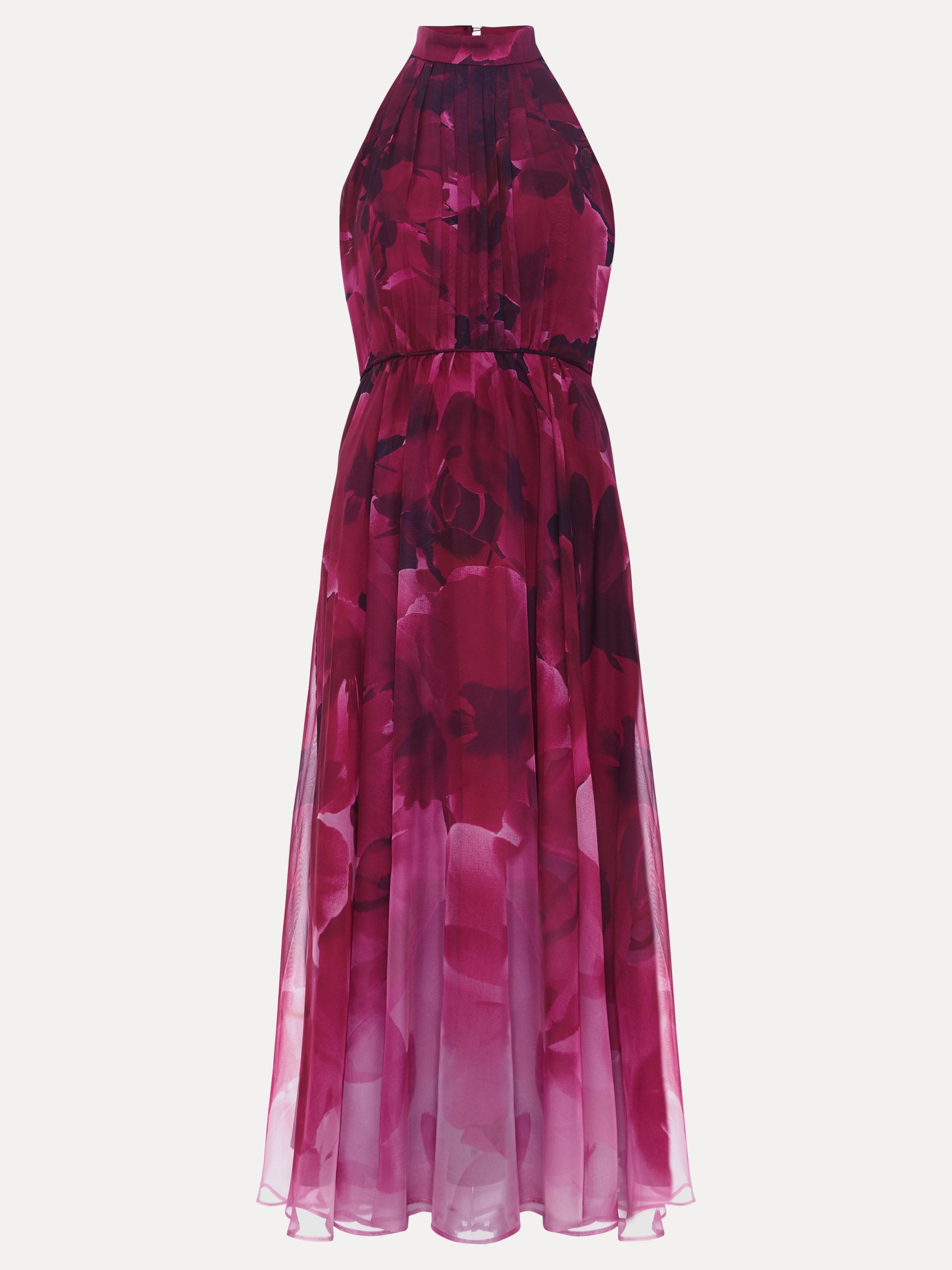 Phase Eight Women's Bethany Floral Print Dress in Fuchsia