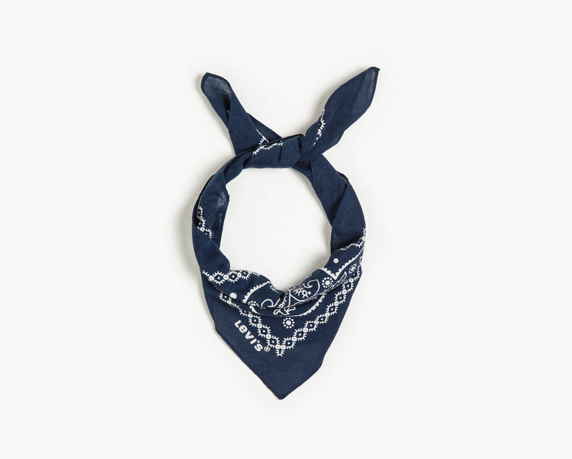 Paisley Bandana
