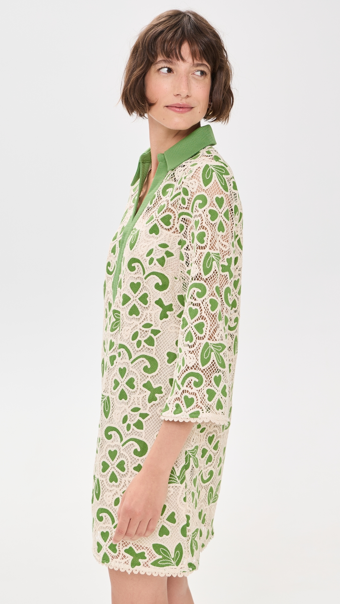 Embroidered Collar Mini Dress Green/Natural