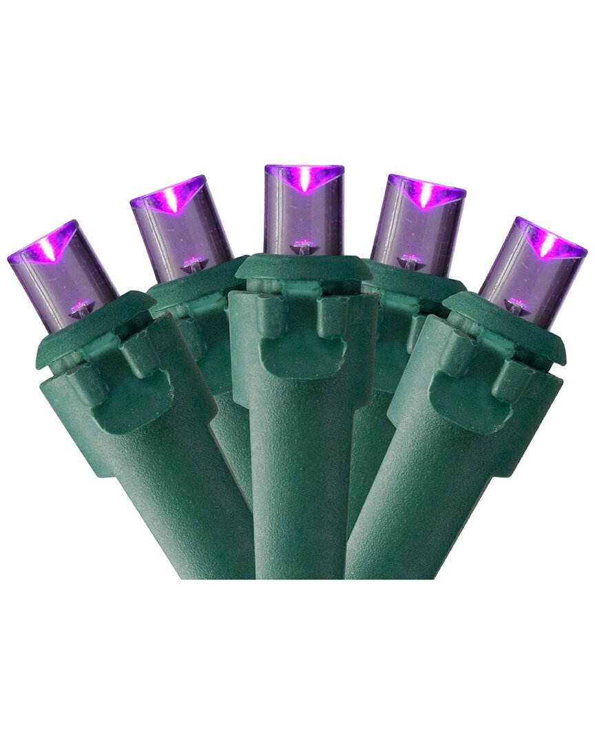 Northlight 50 Purple LED Wide Angle Christmas Lights - 16.25 ft Green Wire